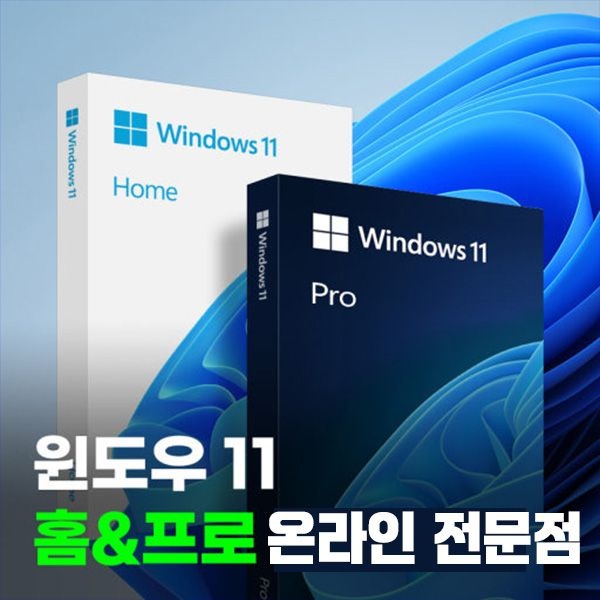 [정품전송]WINDOWS 11 홈/프로 한글판 USB 영구버전