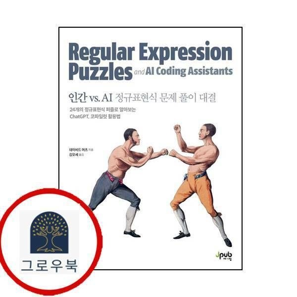 (현대Hmall) [제이펍] 인간 vs AI 정규표현식 문제 풀이 대결