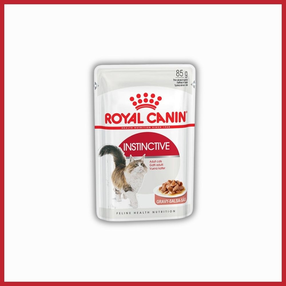 로얄캐닌 캣 고양이 습식사료 인스팅티브, 85g, 1개