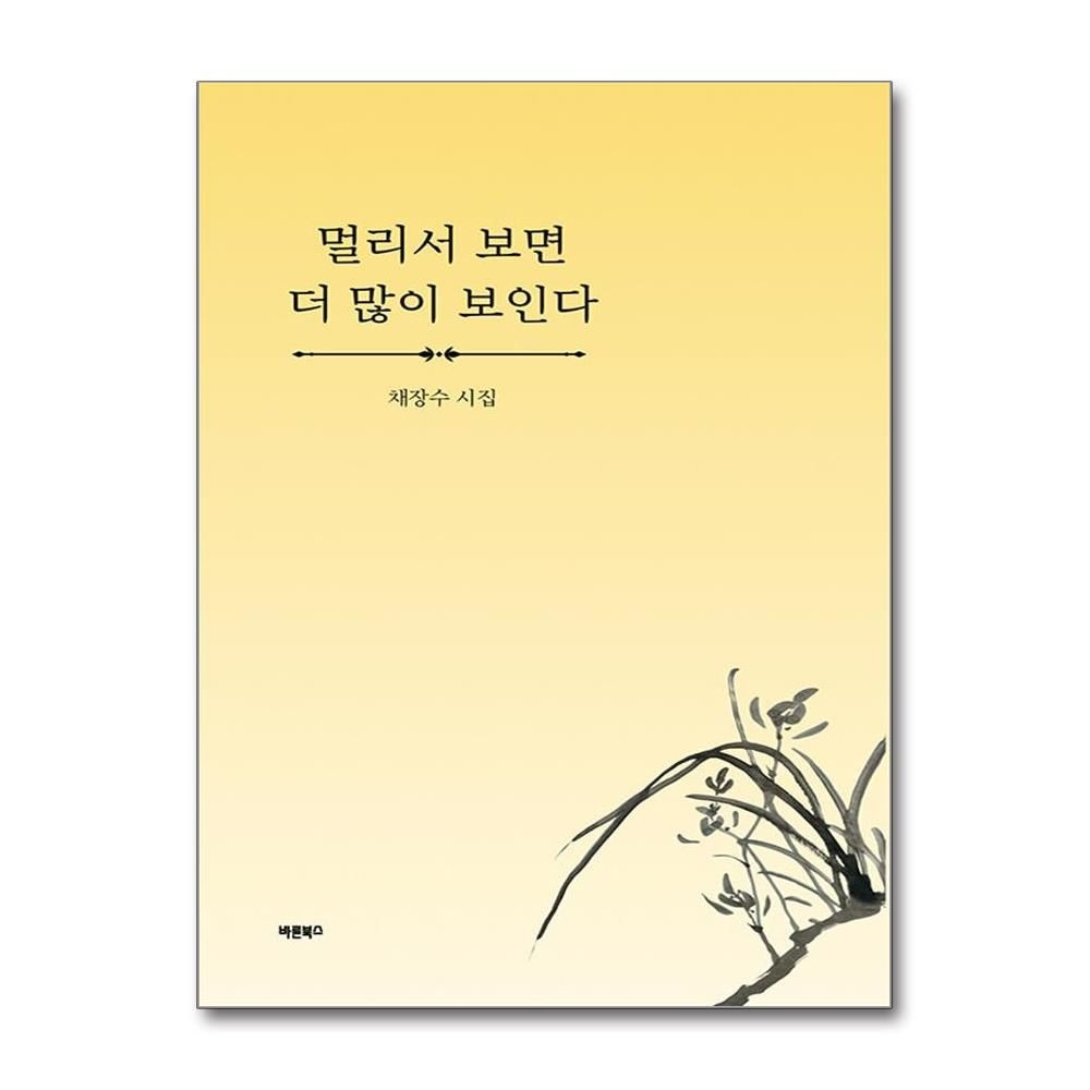 바른북스 멀리서 보면 더 많이 보인다 채장수 시집 책 바른북스(2436508)