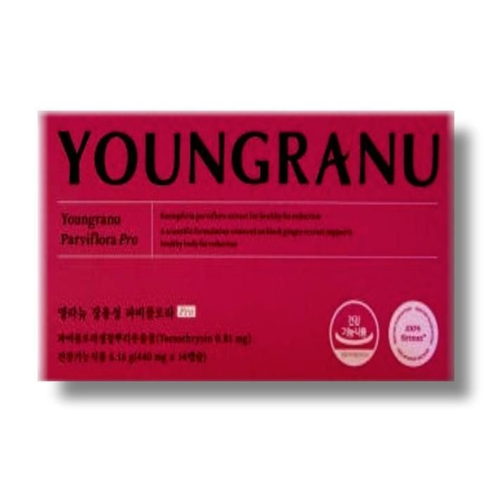 영라뉴 장용성 파비플로라 PRO 440mg x 14캡슐
