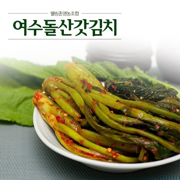 [웰빙촌] HACCP 인증 여수돌산갓김치3kg
