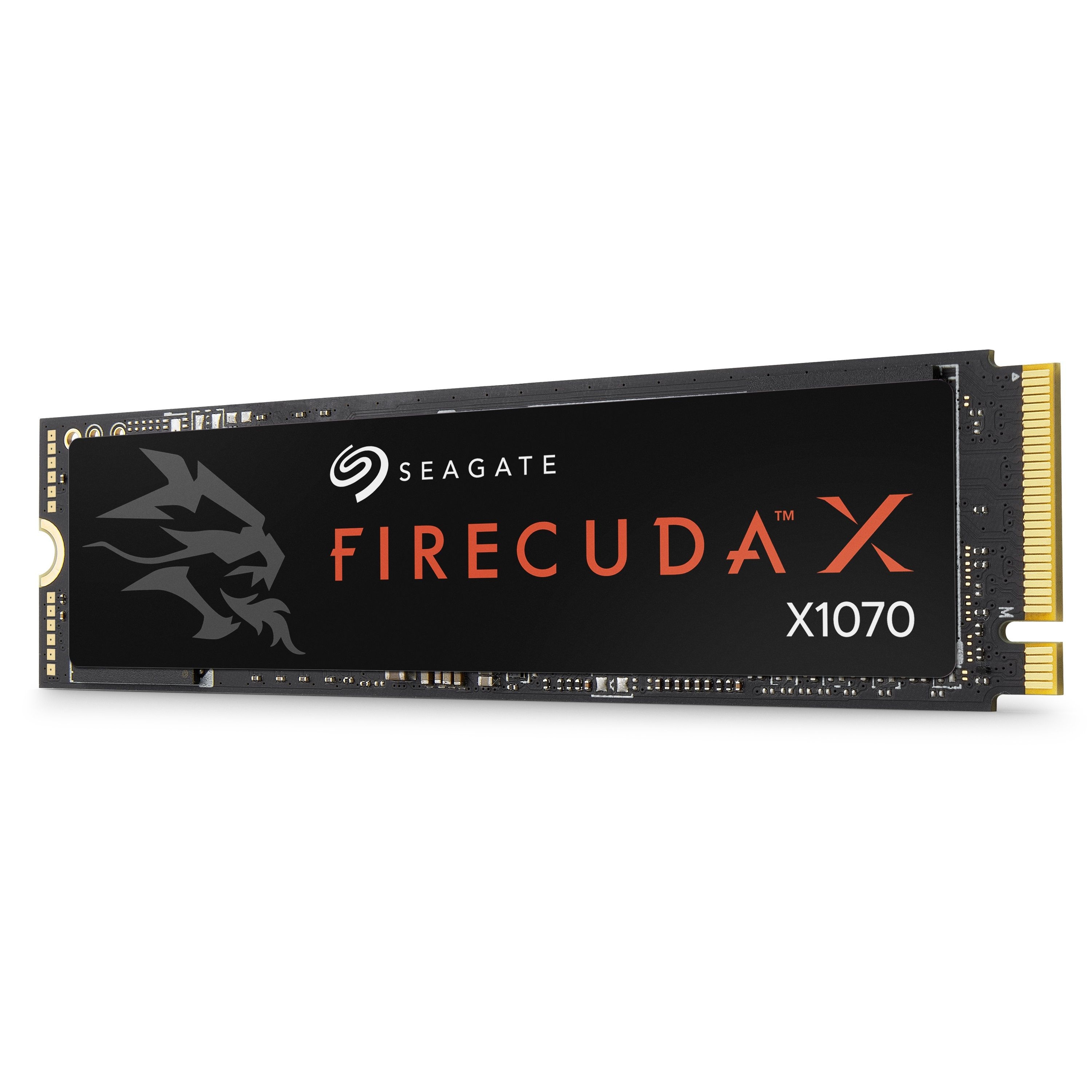 Seagate 파이어쿠다 X1070 M.2 NVMe