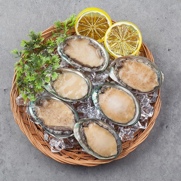 [롯데백화점] 자연맛남 산지직송 완도사랑 청정해역 참전복 1kg(13미)산소포장