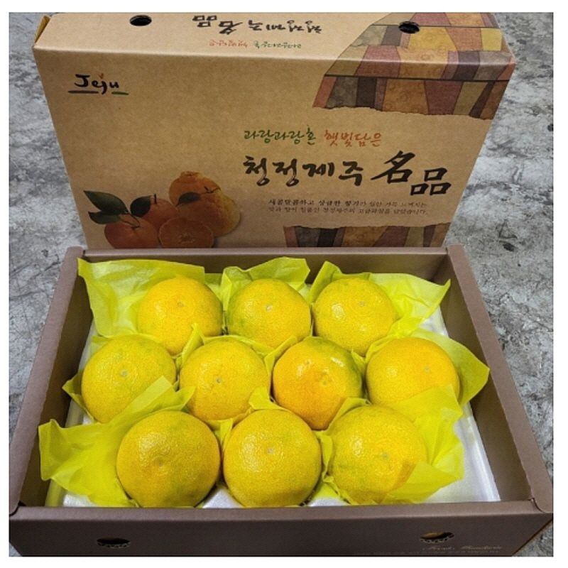 [오늘출발] 제주 황금향 추석 설 명절 선물세트 과일 2kg 5-11과