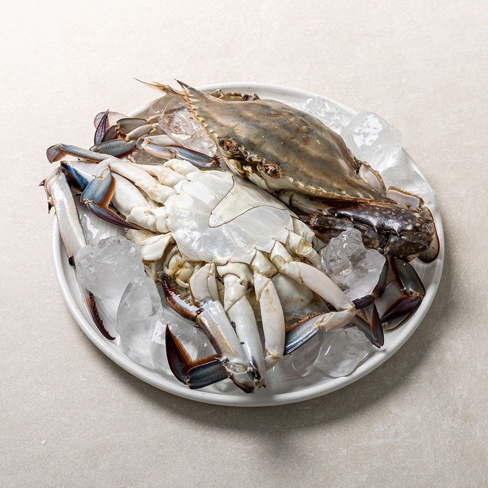 산지직송 제철 활 숫꽃게 1kg/2kg
