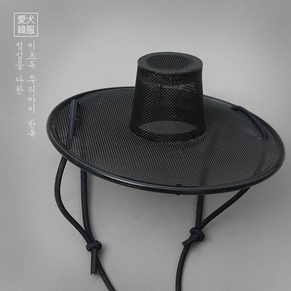[롯데백화점] 이츠독 오 마이 갓 L