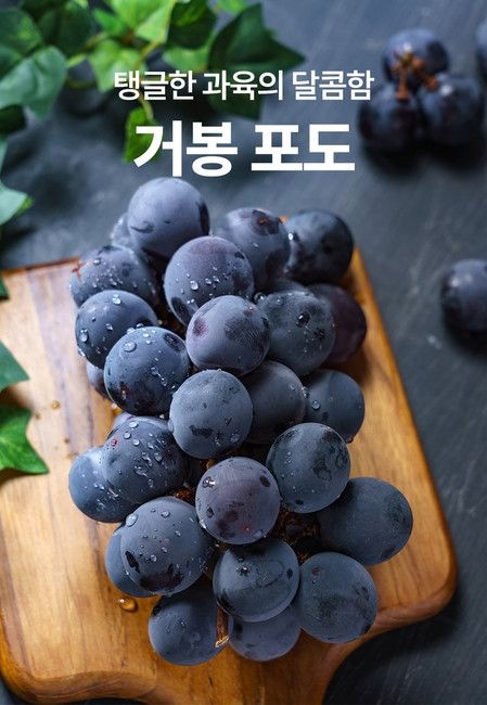 고당도 신지직송 거봉 씨없는 포도 2KG(3-4수)  김천원산지  4-5수