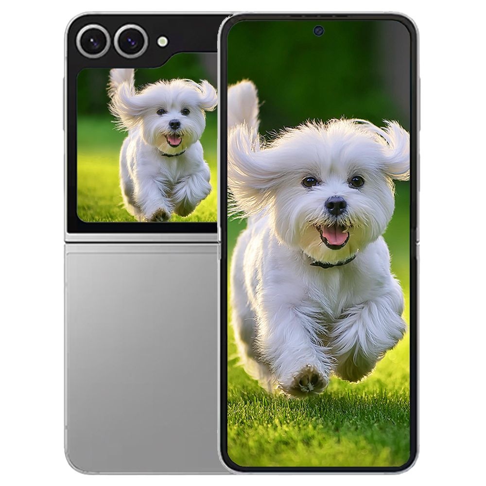 갤럭시 삼성 Z플립6 512GB Galaxy Z Flip6 미개봉 새상품