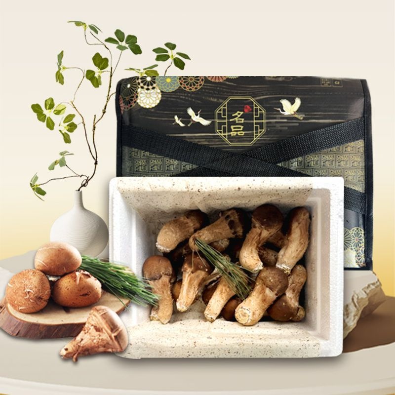향채움 [참송이산향]산의 향을 담은 참송이버섯 선물세트 1kg
