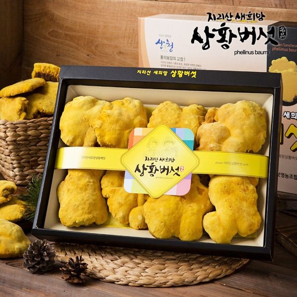 (현대Hmall) [지리산 새희망 상황버섯] 유기농 지리산 상황버섯 선물세트 300g (특품)