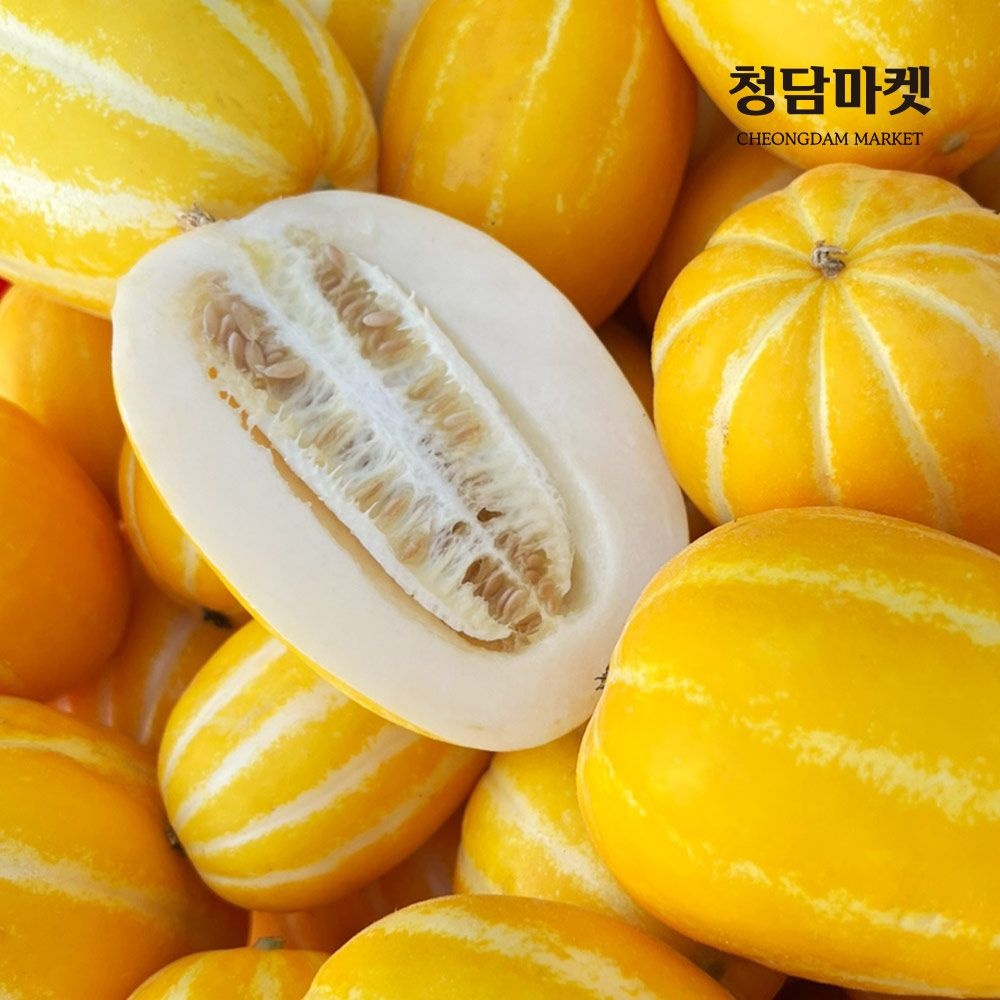 (현대Hmall) 성주 참외 가정용 5kg (소과/25-35과)