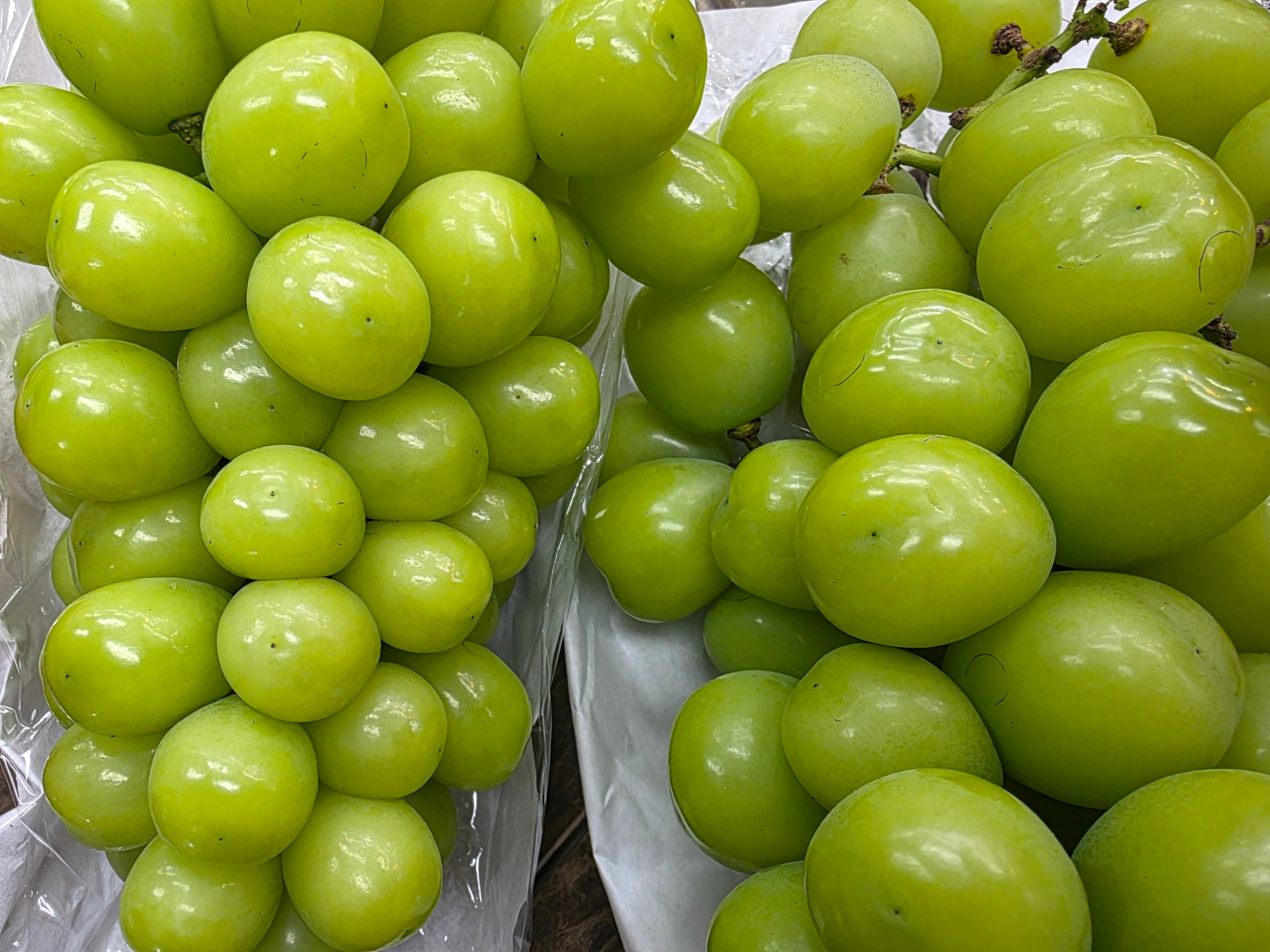 코털네과일야채 당도 꿀 샤인머스켓 2kg 3수/4수 , 4kg