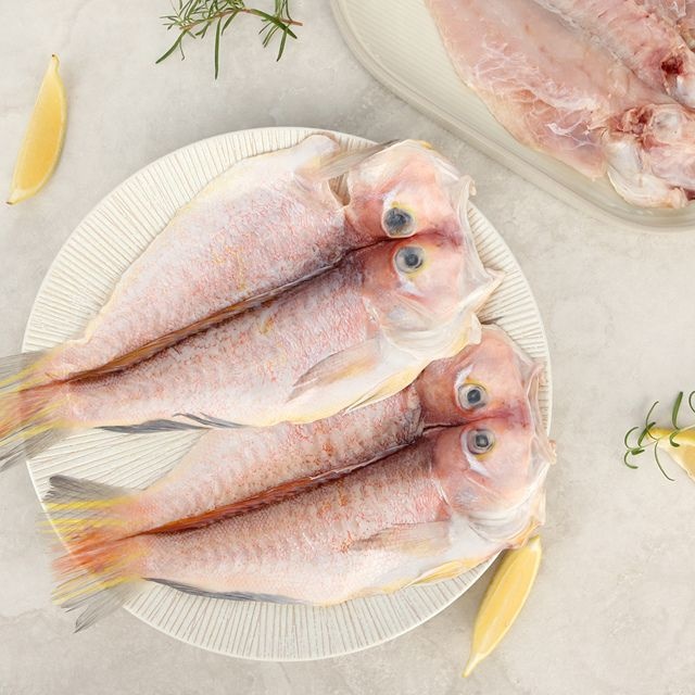 (현대Hmall) [오초록] 명품 제주 옥돔(왕특대) 4미 세트 1.56kg(옥돔390gx4미) / 부직포 가방