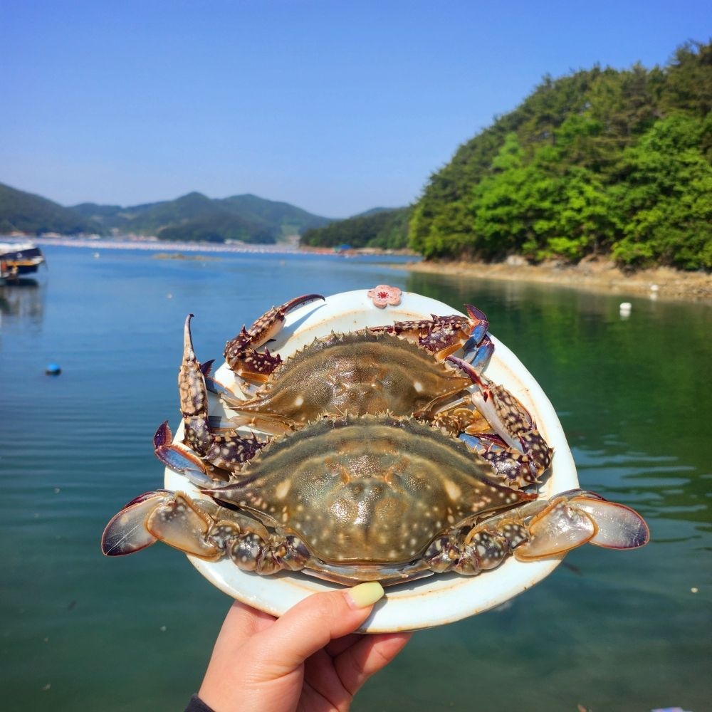 [온누리7%혜택][이순신수산]국내산 서해안 제철 생물 활꽃게 활숫꽃게 중1kg(4-5미) 대1kg(2-3미) 빙장 (빙장 생물 활숫꽃게 중 1kg(4-5미))
