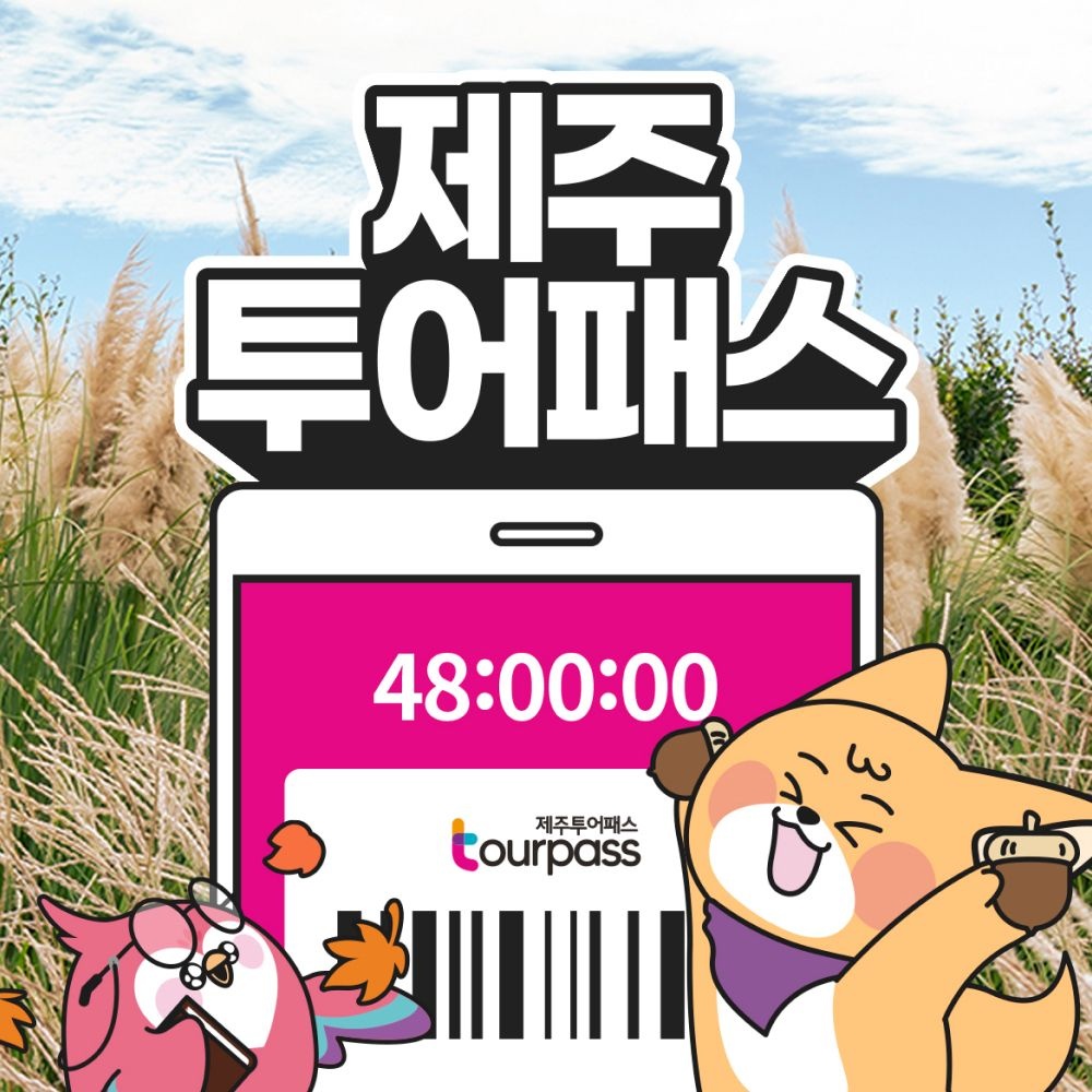 [제주] 제주투어패스 / 48시간 프리패스 여행 체험 관광지 실내 액티비티 카트 승마 공연