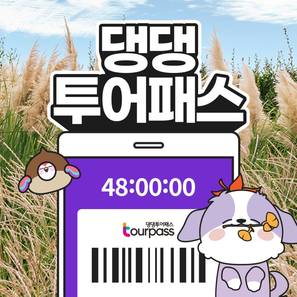 [제주] 댕댕투어패스 / 반려견 동반 여행 강아지 관광지 카페 핫플 체험