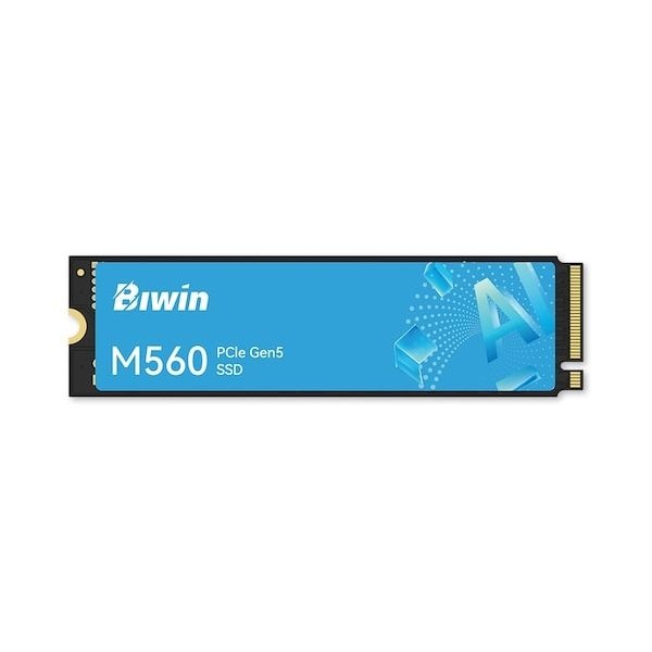 BIWIN M560 M.2 NVMe (2TB)