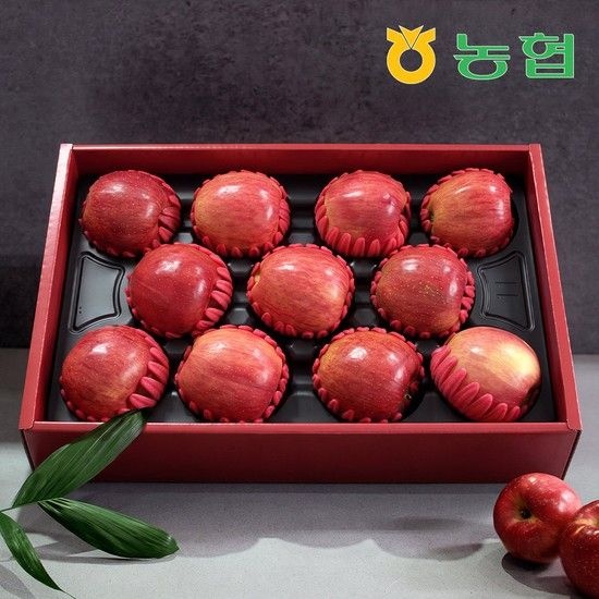 아삭달콤 안동 사과 선물세트 특품1호 3.5kg (11과내)