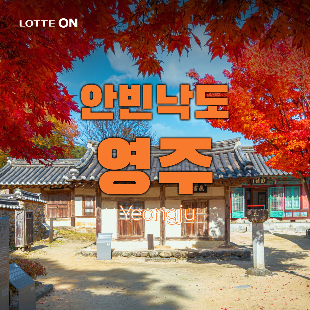 [당일여행] 안빈낙도 영주 (부석사, 무섬마을 외나무다리, 소수서원, 선비촌)