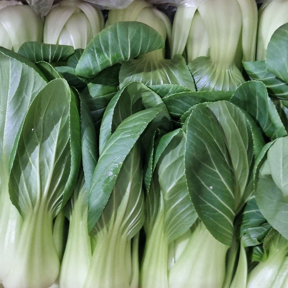 하나의팜 국내산 청경채 상 500g 1kg 4kg 마라탕 샤브샤브 업소용