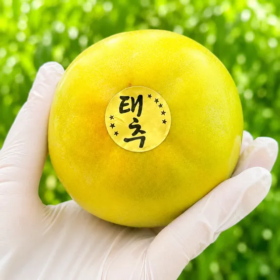 고당도 태추 단감 선물용 선물세트 추석 명절