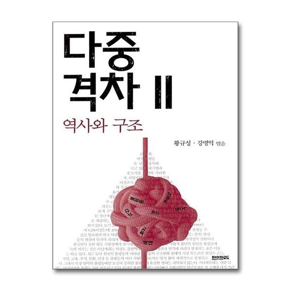 다중격차 2 - 역사와 구조