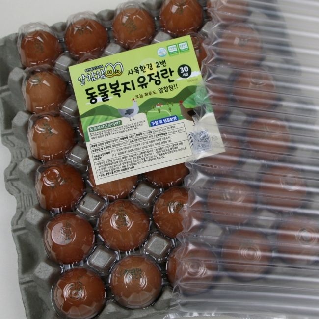 [롯데온] 2번난각 동물복지 유정란 30구 (8,720원/무료) | 롯데온