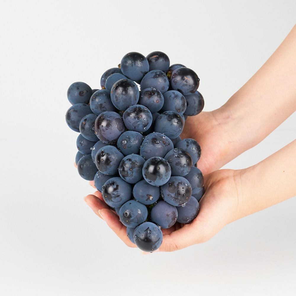 [온누리7%혜택]제철 고당도 국내산 거봉 600g/800g/1.5kg/2kg/3kg/4kg (600 g ~800 g(1송이))