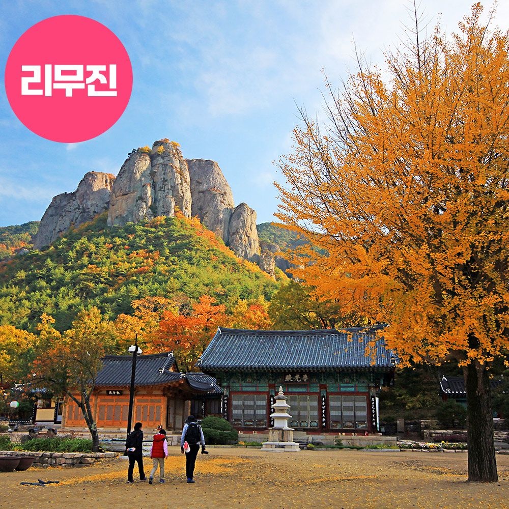 로망스투어 [런트립] 리무진+중식 청송 주왕산 단풍 트레킹+산소카페 청송정원 백일홍 당일 여행