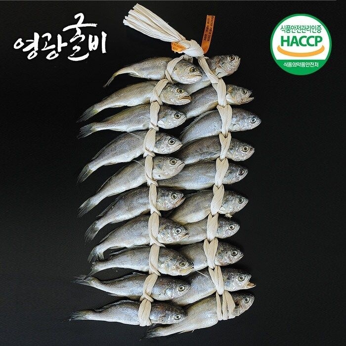[굴비장인] 법성포 영광굴비 2kg (20미/20-22cm)