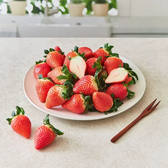 비타베리 딸기 (500G/팩)