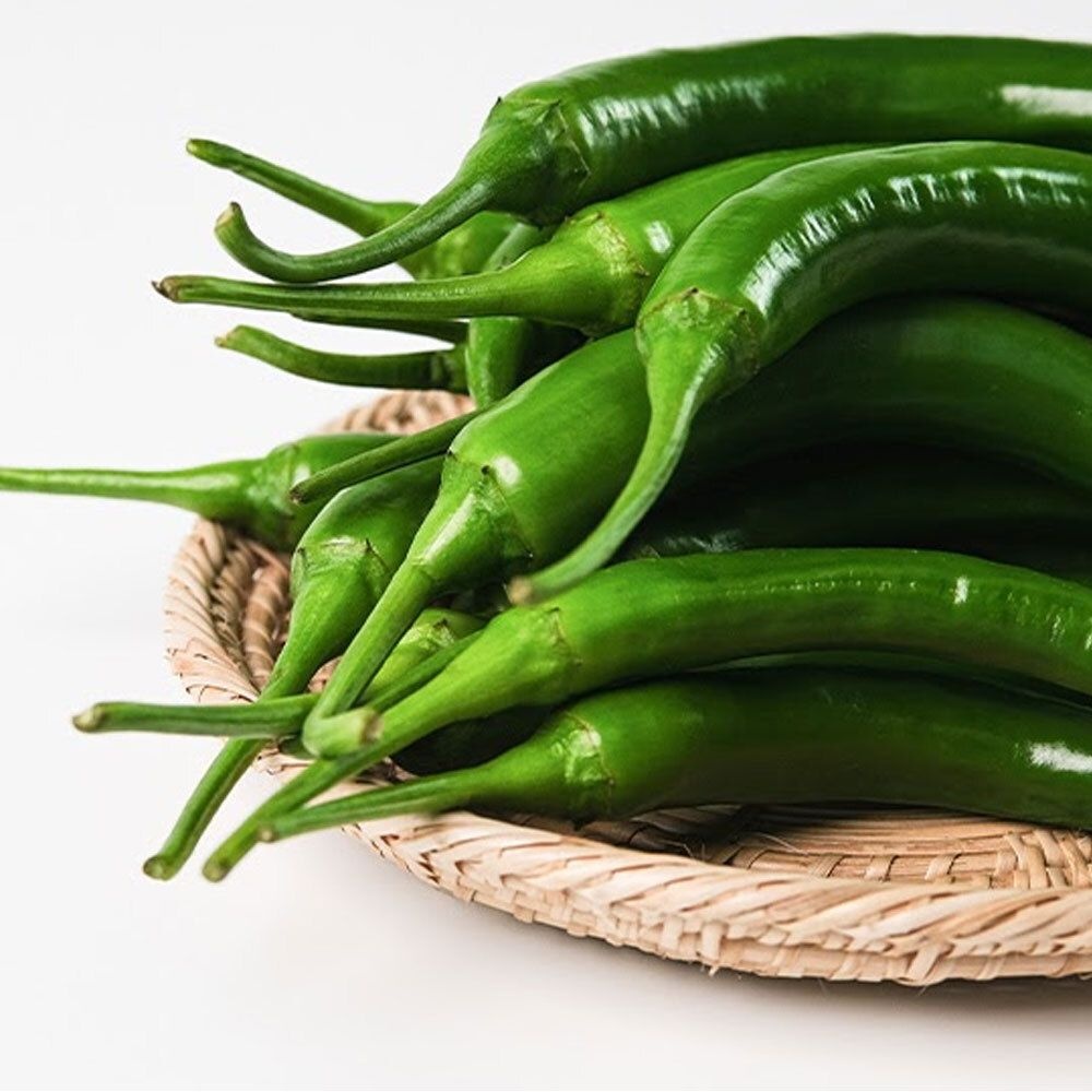 [온누리7%혜택]청양고추 500g (청양고추 500g)