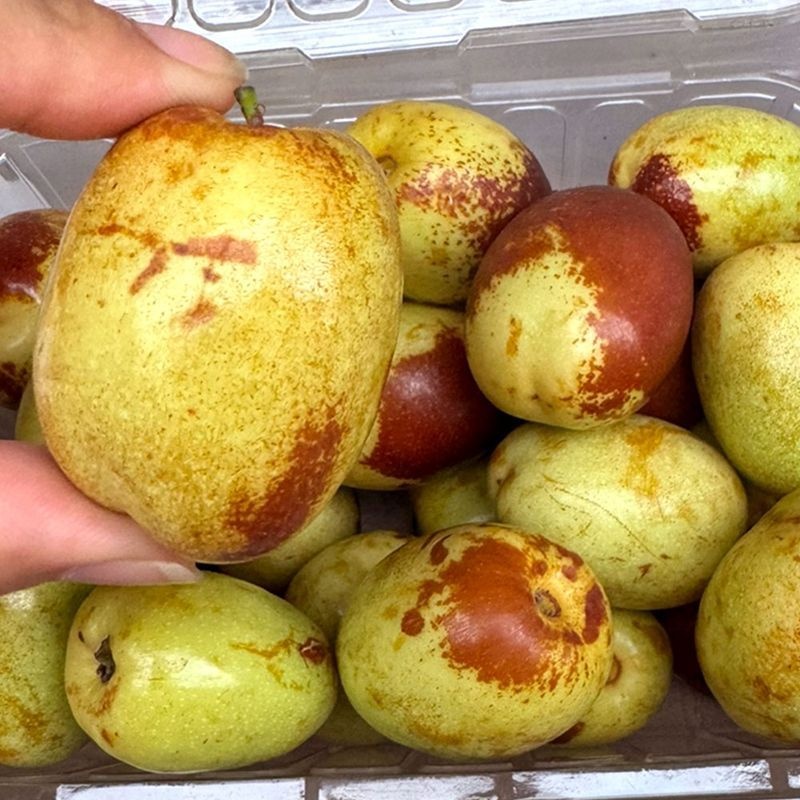 프리미엄 사과대추 특 2kg