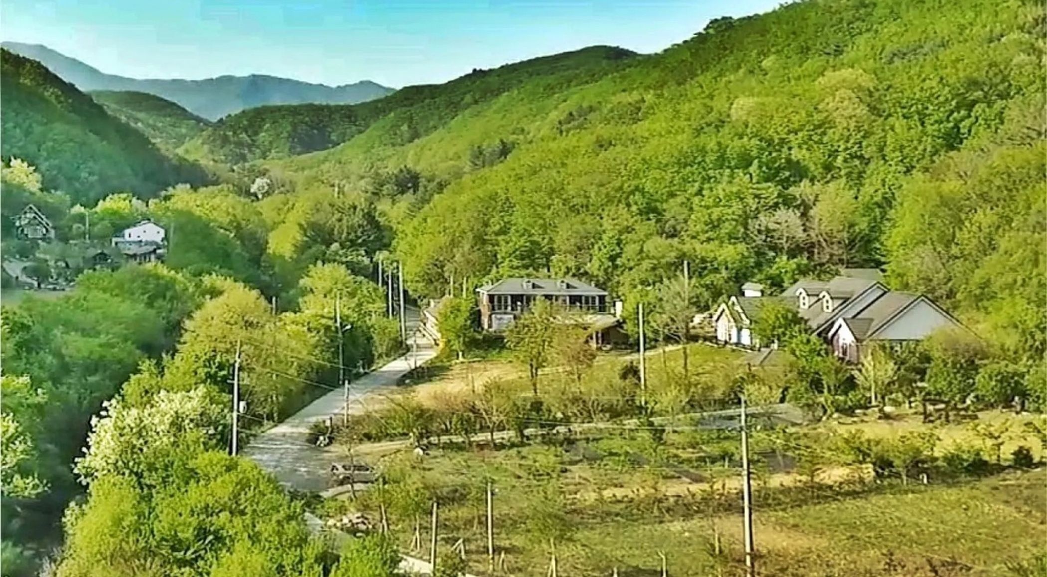 인제 곰배령에버그린