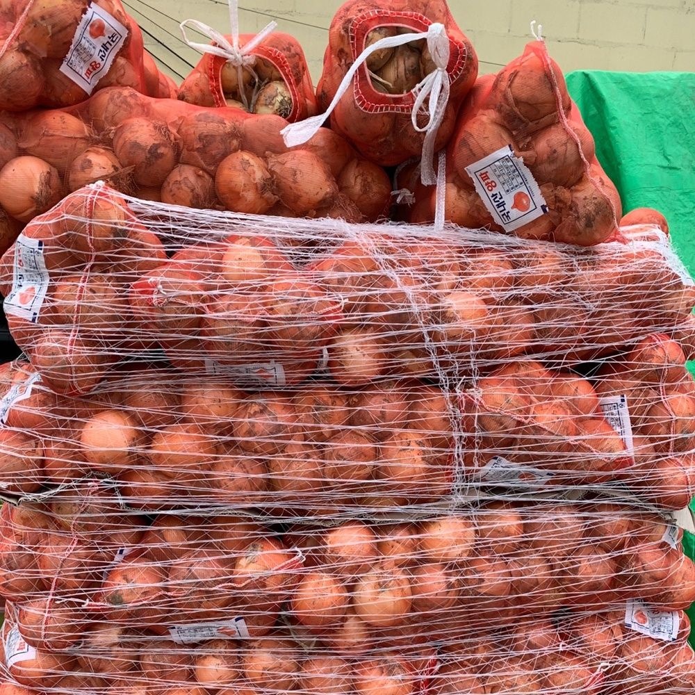 [온누리7%혜택]26년 햇양파 국산 단단한 무안 햇양파 (양파(소)1kg)