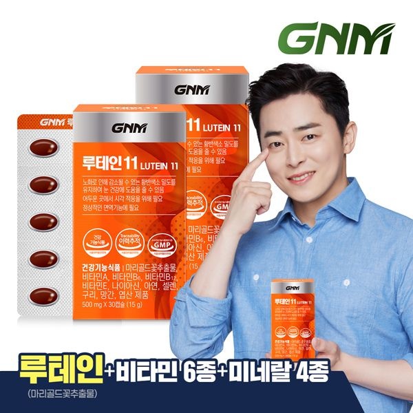 (현대Hmall) GNM 루테인11 2박스 / 비타민 6종 + 미네랄 4종 눈건강 비타민B 아연 엽산