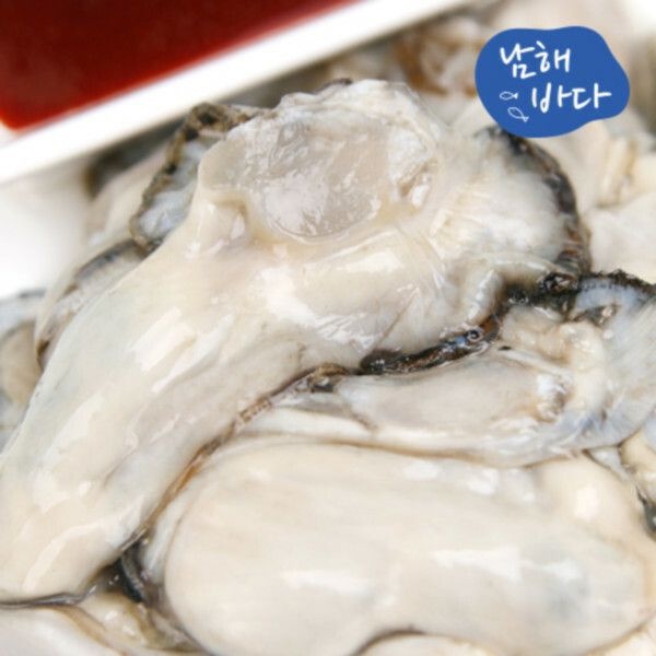 남해바다 (현대Hmall) [남해바다] 국내산 생굴 2kg