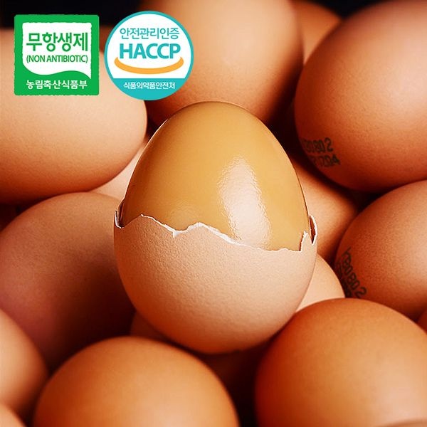 (현대Hmall) [무항생제/HACCP] 어린닭이 낳아 신선한 구운계란 120구(4판)