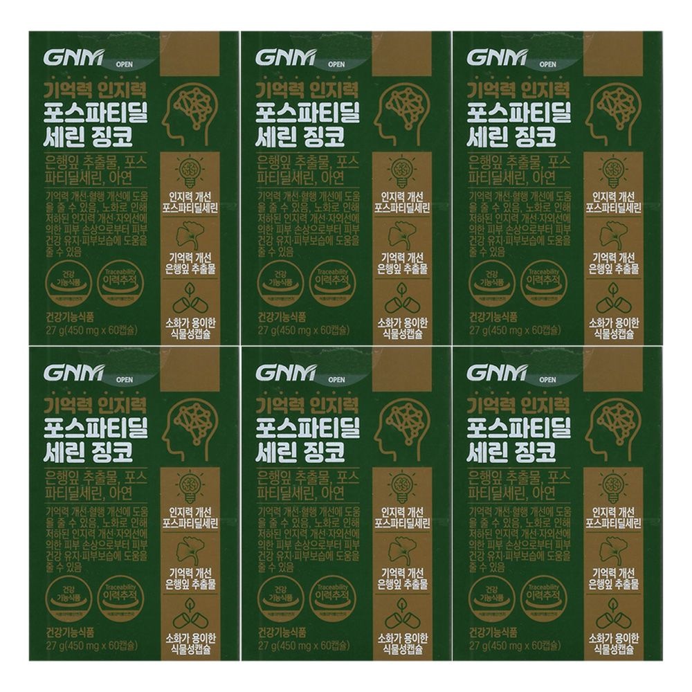 GNM자연의품격 기억력 인지력 포스파티딜세린 징코 450mg x 60캡슐 x 6개 / 써클