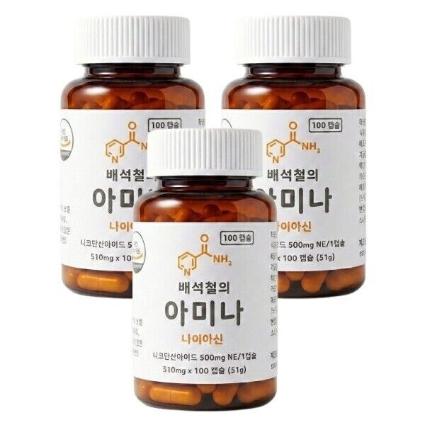 [오늘출발] 비타민B3 배석철의 아미나 나이아신 500mg 100캡슐 3개