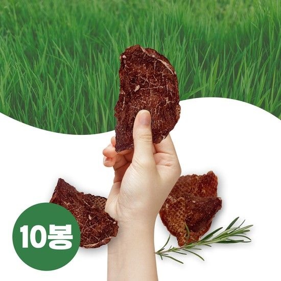 프레셔스네이처 자연에서 풀 먹고 자란 목초육소고기칩 10봉 (10봉)