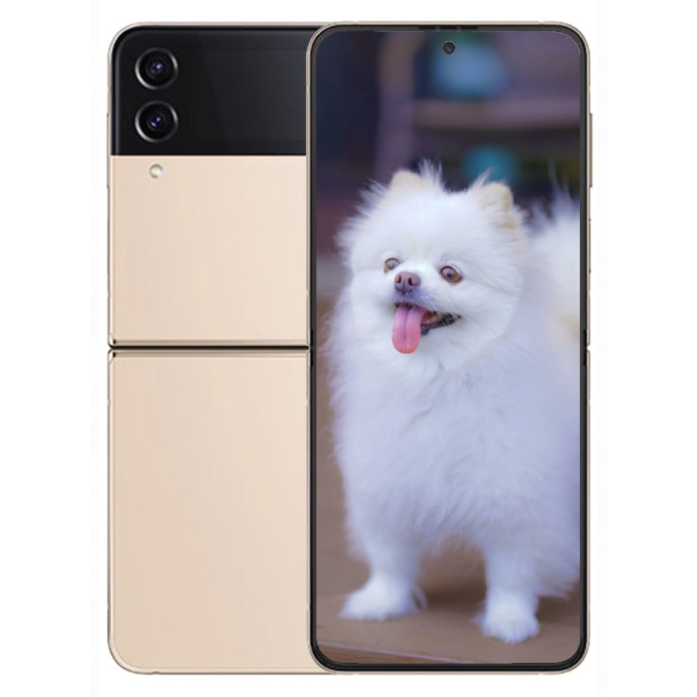 갤럭시 삼성 Z플립4 256GB  새상품 미개봉 Galaxy Z Flip4