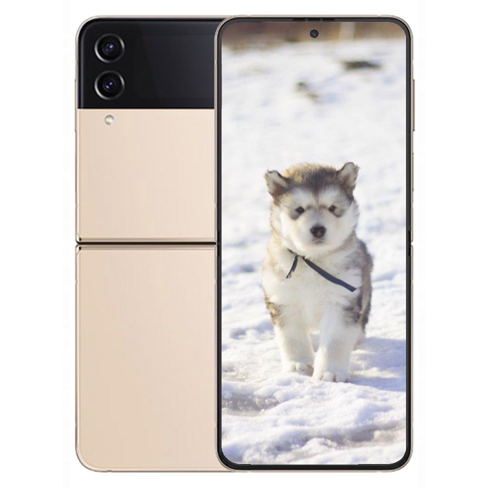 갤럭시 삼성 Z플립4 256GB 새제품 미개봉 Galaxy Z Flip4