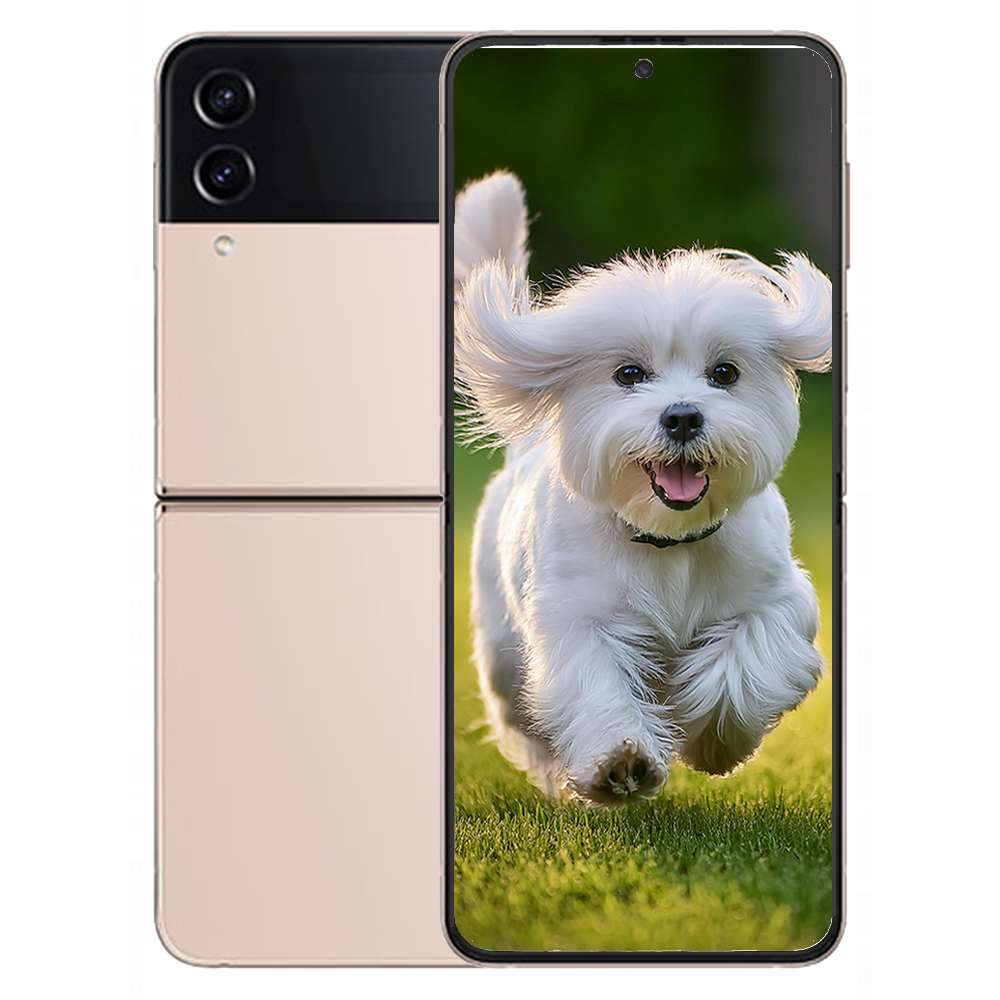 갤럭시 삼성 Z플립4 256GB Galaxy Z Flip4 미개봉 새상품