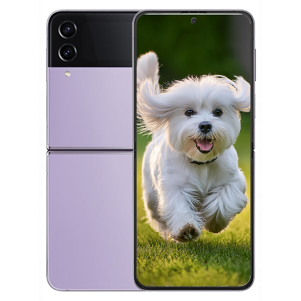 갤럭시 삼성 Z플립4 512GB Galaxy Z Flip4 미개봉 새상품