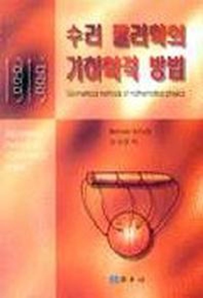 수리 물리학의 기하학적 방법