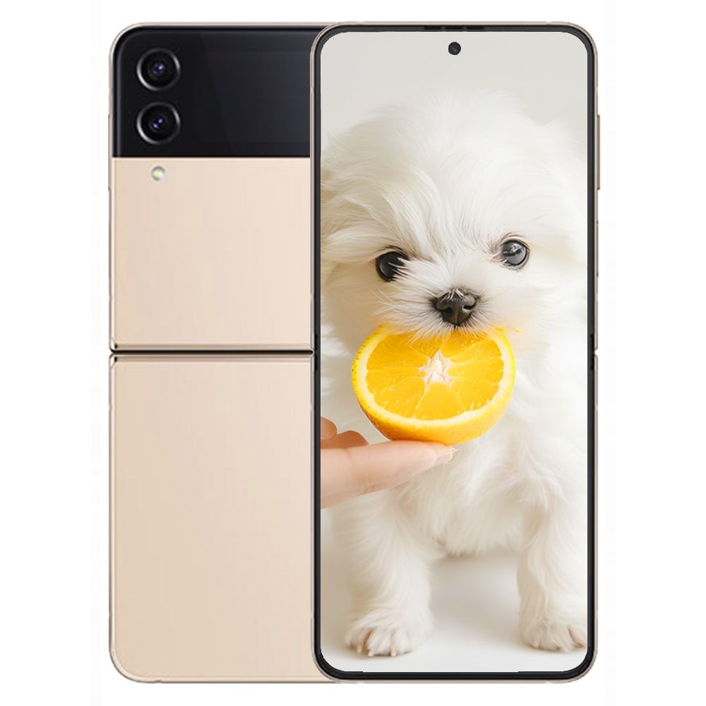 갤럭시 Z플립4 5G 256GB 미개봉 새상품 Galaxy Z Flip4