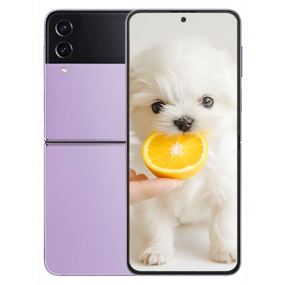 갤럭시 Z플립4 5G 512GB 미개봉 새상품 Galaxy Z Flip4