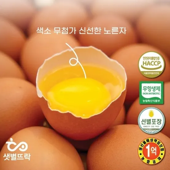 샛별뜨락 동물복지유정란 무항생제 햅썹인증 대란 20구 (파손보장)